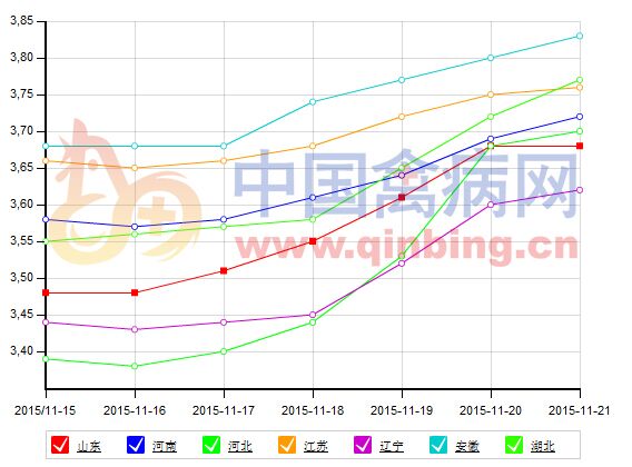 11月第三周鸡蛋价格指数激情上扬--资讯-中国